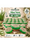 Internatural Aloe Vera Pumpkin Fiber Herbal Soap 40 Pack (40 X 110 g)