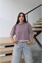 Plum Striped Short Sleeve Knitwear