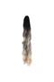 Buckle Protein Fiber Sen Ponytail / Dark Platinum Ombre - 2