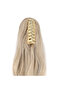 Buckle Protein Fiber Sen Horse Tail / Auburn White Platinum Highlight - 4