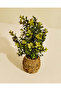 Beige Artificial Eucalyptus in Wicker Planter - 4