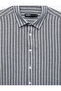 Regular Fit Cotton Classic Collar Long Sleeve Striped Shirt - 8