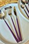 Steel 42 Piece 6 Person Purple Cutlery Set - 2