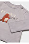 Baby Boy Long Sleeve T-Shirt Gray 2010 - 4