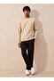 Sweatshirt - 2