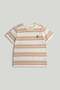 3 Pack Dinosaur T-Shirts - 2