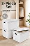 3-Piece 40 L Storage Box with Lid Multi-Purpose Plastic Organizer Organizer Box