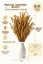 Shockproof Non-Shedding Durable Lavender Bunch - Arrangement |   Ornament |   Decor - 4