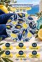 Set of 6 Glass Tea Plates – Lemon & Mussel Patterned 12 cm – 6 Tea Plates - 2