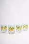 Bodrum 4-Piece Water Glass Set 275 Cc - 3