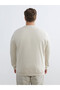 Peak New Season Large Size Crew Neck Printed Thick Men's Sweatshirt - 4