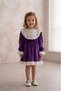 Purple Velvet Neckline Skirt and Sleeve Lace Baby Girl Dress-Lia - 3