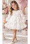 Girls' Dress for Party, Cotton, 3D Rose Detail, Tulle Lining, Evening Dress - 4