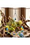 Tuğra Pet Market Luxury Budgie Swing