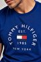 Th Slim Fit T-shirt - Flagge Pattern - 2