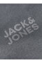 Jorlogo Anthracite Men's Sweatshirt 12290659 - 4