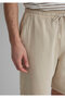 Brown Shorts 0410188-70322 - 5