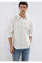 Khaki Striped Ecru Shirt Regular Fit / Regular Cut 0211384-80692 - 3