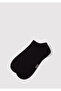 Set of 2 Black and White Booties Socks 198017-620 - 2
