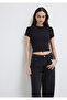 Black Basic T-Shirt Crop / Short Cut 1600814 -900