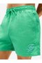 MEDIUM DRAWSTRING ITHACA SCRIPT Erkek Yeşil Deniz Şortu - UM0UM03750 - 3