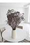 Cipso Flower Shocked Purple - 2