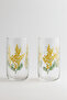 Mimosa 4-Piece Soft Drink Glass Set 365 Cc - 3