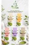 Five Flavored Matcha Set (Total 250 Grams)