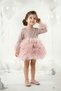 Baby Girl Dress Girls' Dress Birthday Party Wedding Tutu Tulle Long Sleeve Lined Dress