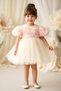 Baby Girl Dress Girls' Dress Birthday Party Wedding Dress Lace Short Sleeve Lined Dress - 4