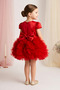 Baby Girl Children's Birthday Party Wedding Dress Tulle Tutu Lined Children's Clothing Baby Clothing Baby Girl E - 2
