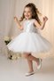 Baby Girl Children's Birthday Party Wedding Dress Tulle Tutu Lined Children's Clothing Baby Clothing Baby Girl Elbyyprpul - 8