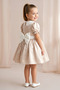 Baby Girl Dress Girls' Dress Birthday Party Wedding Dress Lace Short Sleeve Lined Dress - 3