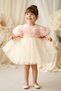 Baby Girl Dress Girls' Dress Birthday Party Wedding Dress Lace Short Sleeve Lined Dress - 5