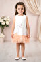 Baby Girl Girl Kid Birthday Party Wedding Dress Sleeveless Ruffled Tulle Tutu Tutu Lined - 3