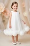 Baby Girl Dress Girls' Dress Birthday Party Wedding Dress Crowned Sleeveless Lined Dress - 2