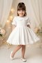 Baby Girl Dress Girls' Dress Birthday Party Wedding Dress Lace Short Sleeve Lined Dress