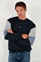 Cotton Relaxed Fit Crew Neck Color Block Sweat Men's Sweat 5905298t - 4