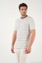 Cotton Regular Fit Striped Crew Neck t Shirt Men's t Shirt 5904039 - 5