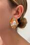 Steel Agata Earrings - 2