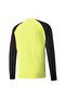 Teampacer Gk Ls Jersey Men's Goalkeeper Jersey70493342 Yellow - 2