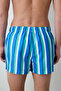 Striped Men's Swim Shorts - 4