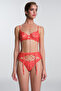 Mercan Oden Lace Garter Belt