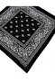 Sinaloa Paisley Bandana Nf0564Sy - 2
