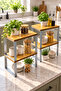 2 Pieces of Natural Wood Handmade Cabinet Organizer Plate Cup Bathroom Shelf - 3