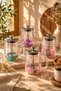 700 ml Double Walled Dry Flower French Press Glass Carafe with Stainless Steel Filter Infuser - 4