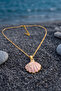 Oyster Locket Necklace Seashell Clamshell Openable Memory Necklace Stainless Steel Eck76 - 6