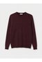 Özmarka New Season Plum Regular Fit Men's Knitwear Sweater