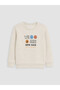 Crew Neck Printed Boys' Thick Sweatshirt 2-Pack - 2