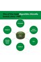 Chlorella 200 mg Green Algae Superfood Supplement - Pulverized Cell Wall - Chlorophyll, CGF, Active B12, Iron, Protein - Non-GMO - 300 Tablets - 6